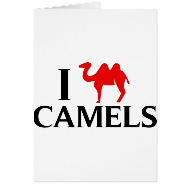 Cartão Eu amo camelos (Frente)