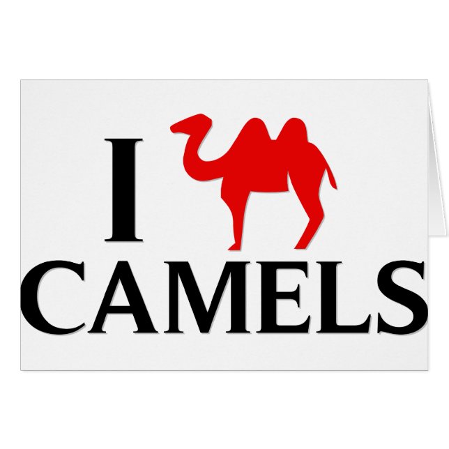 Cartão Eu amo camelos (Frente Horizontal)