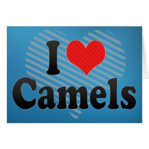 Cartão Eu amo camelos