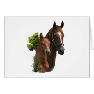 Cartão Eu amo Cavalos