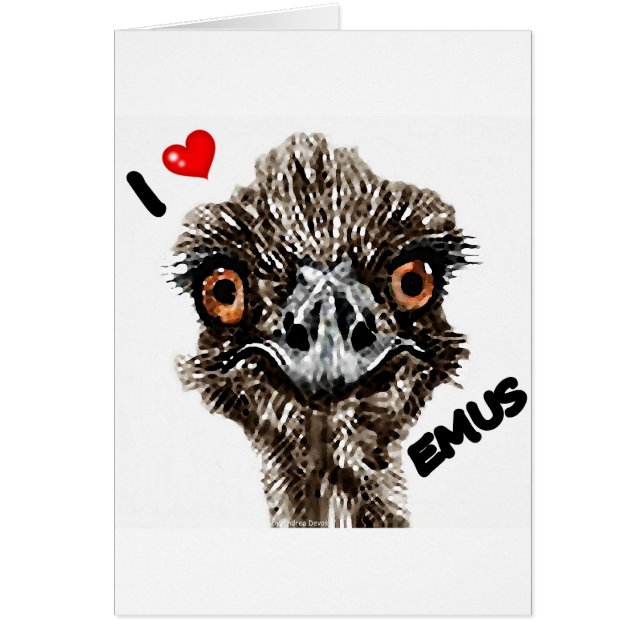 CARTÃO EU AMO EMUS (Frente)