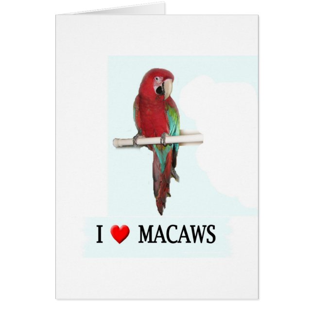 Cartão Eu amo Macaws (Frente)