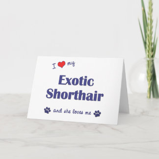 Cartão Eu Amo Meu Ar Curto Exótico (Gato Feminino)