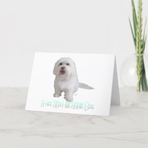 Cartão Eu Amo Meu Cachorrinho Branco - Havanese