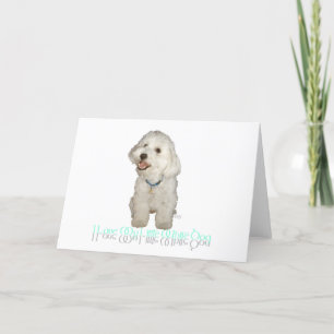 Cartão Eu Amo Meu Cachorrinho Branco - Havanese