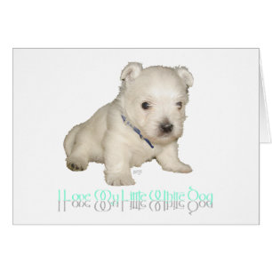 Cartão Eu Amo Meu Cachorro Branco - Cachorro Maluco