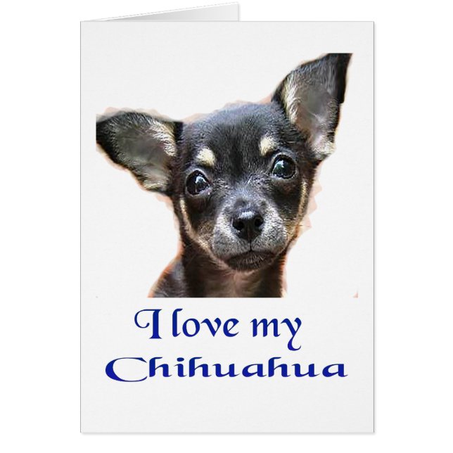 Cartão Eu amo meu Chihuahua (Frente)
