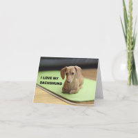 Eu Amo Meu Dachshund de Creme com foto