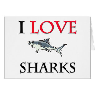 Cartão Eu amo tubarões