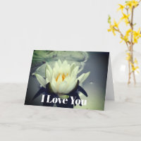 Eu Amo Você Água Lily Flor Personalizada