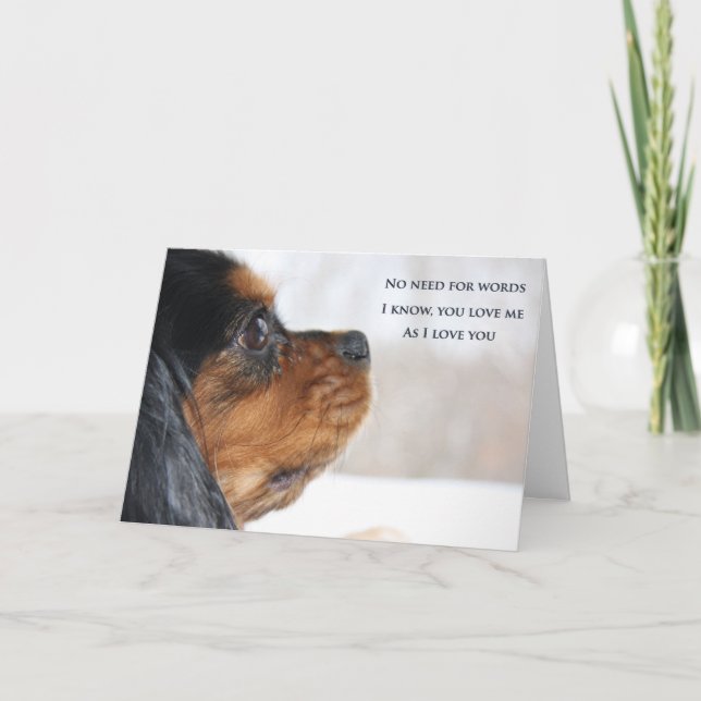 Cartão Eu Amo Você Carta do Cavalier King Charles Spaniel (Frente)