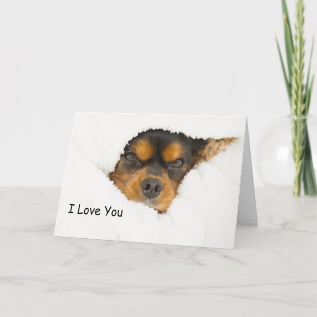 Cartão Eu Amo Você King Charles Spaniel Espiando (Frente)