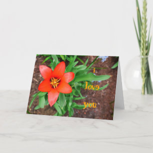 Cartão Eu amo você-Red Tulip Card