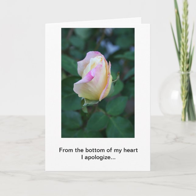 Cartão Eu desculpo-me por sua falta da consideração (os (Frente)