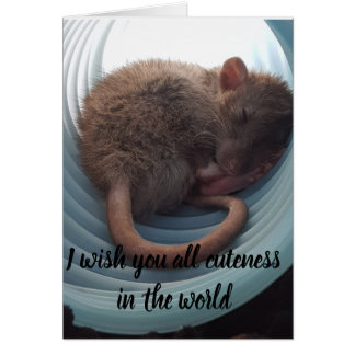 Cartão Eu desejo-lhe todo o cuteness no mundo