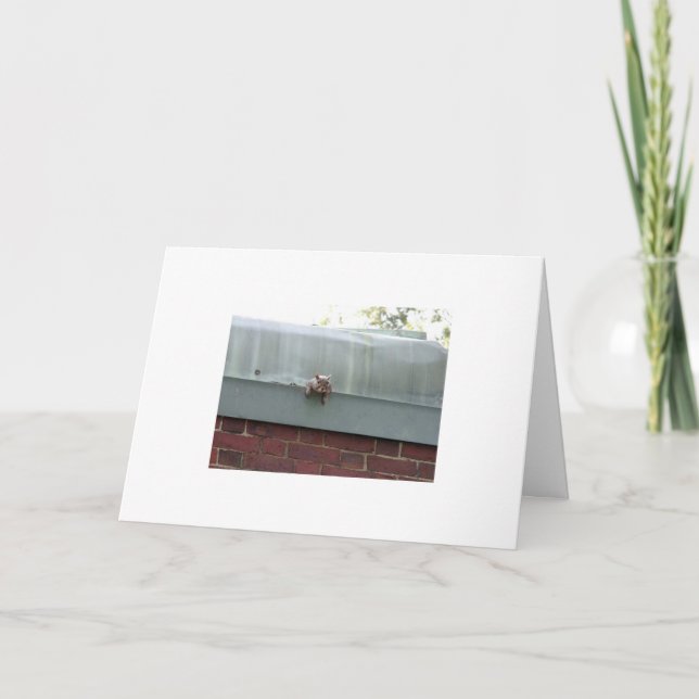 Cartão eu estou olhando-o (Frente)