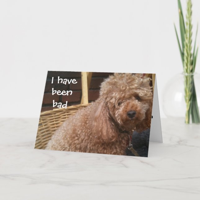 CARTÃO EU FUI MAL ABORDADO ANIVERSÁRIO (Frente)