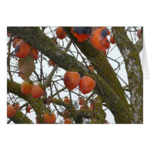 Cartão "Eu gosto sure de pendurar para fora com você. "