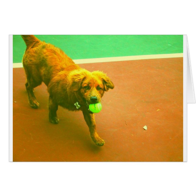 Cartão "Eu jogá-lo-ei a qualquer momento! " (Frente Horizontal)