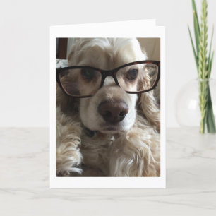 CARTÃO EU ****MISS****