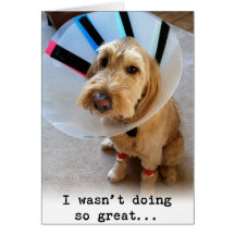 Eu não fazia tão grande…