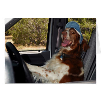 CARTÃO EU NÃO POSSO DIRIGIR 55!