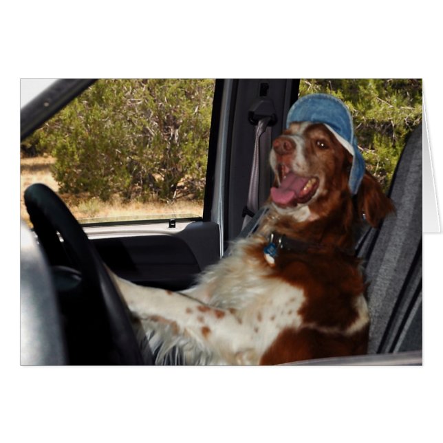 CARTÃO EU NÃO POSSO DIRIGIR 55! (Frente horizontal)