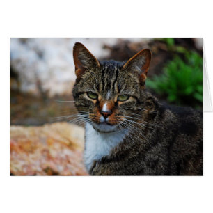 Cartão Eu não sou divertido….