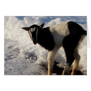 Cartão Eu odeio o Winter. Aqui está o Primavera de Hoping