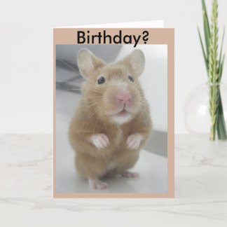 Cartão Eu ouvi-me certo?