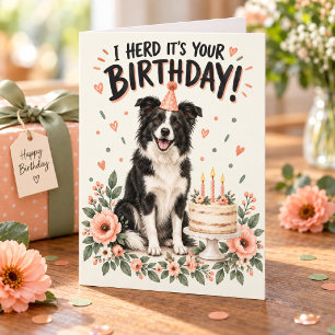 Cartão Eu Ouvi Que É Seu Aniversário Border Collie Engraç