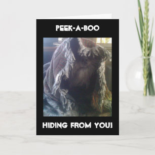 CARTÃO EU PERDI SUA VERGONHA DE ANIVERSÁRIO EM MIM