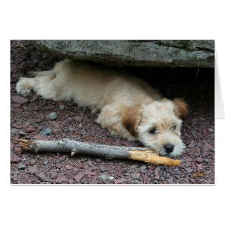 Cartão Eu posso ajudá-lo a cardar