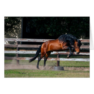 Cartão Eu posso saltar