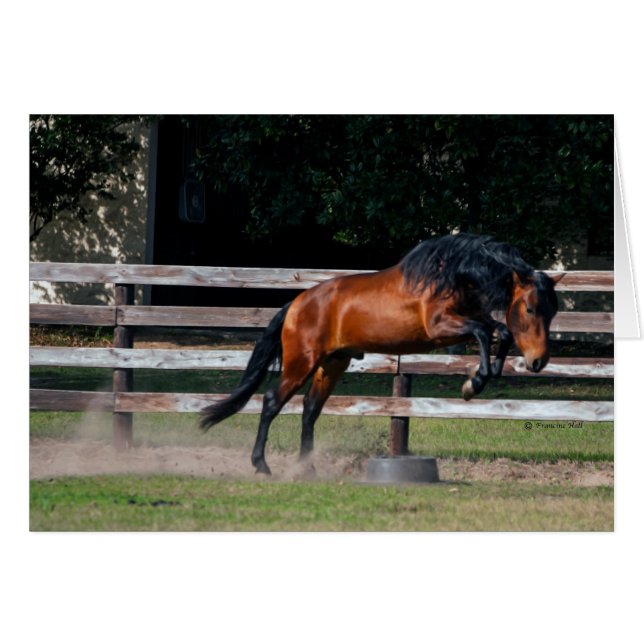 Cartão Eu Posso Saltar (Frente Horizontal)