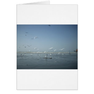 Cartão Eu posso voar