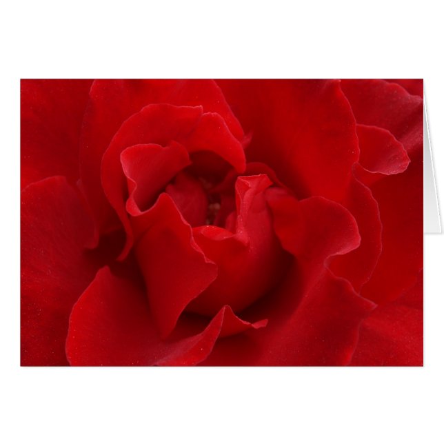 Cartão Eu sempre te amarei (Frente Horizontal)