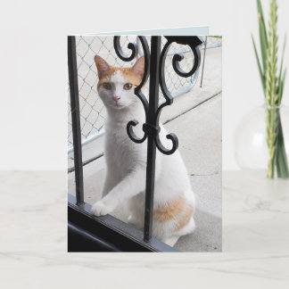 Cartão Eu Sinto Saudades Gato