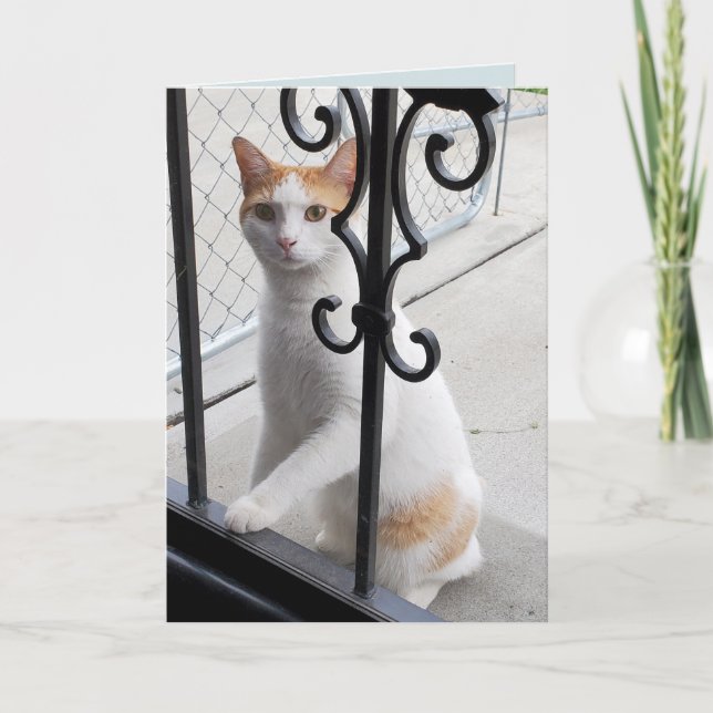 Cartão Eu Sinto Saudades Gato (Frente)