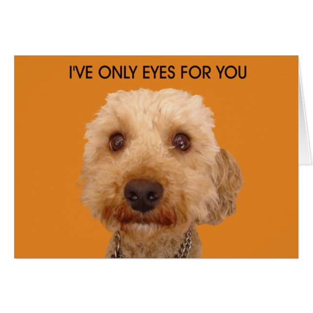 Cartão Eu só tenho olhos para você (Frente Horizontal)