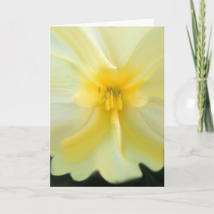 Cartão "Eu sou… "