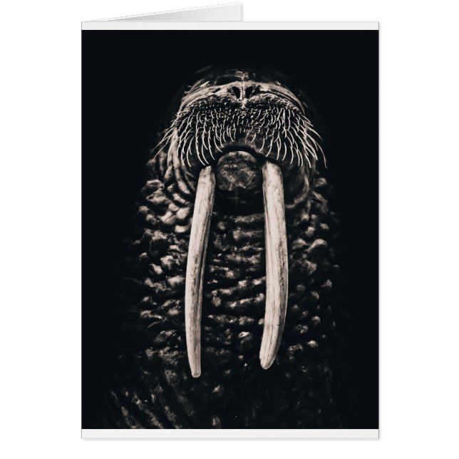 Cartão Eu sou a morsa (Frente)