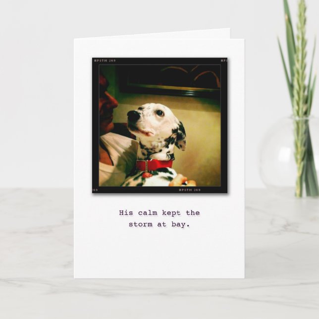 Cartão Eu sou aqui para você (Frente)