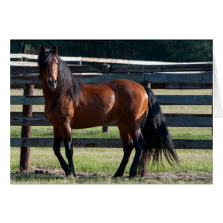 Cartão Eu sou muito sexy