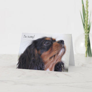 Cartão - eu sou pesaroso