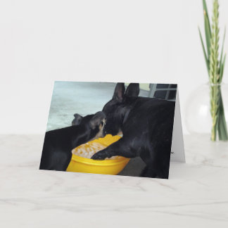 Cartão Eu sou pesaroso