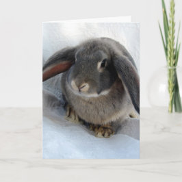 Cartão Eu sou todos ouvidos por você