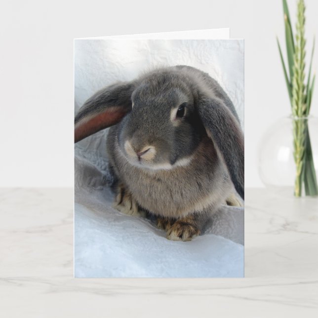 Cartão Eu sou todos ouvidos por você (Frente)