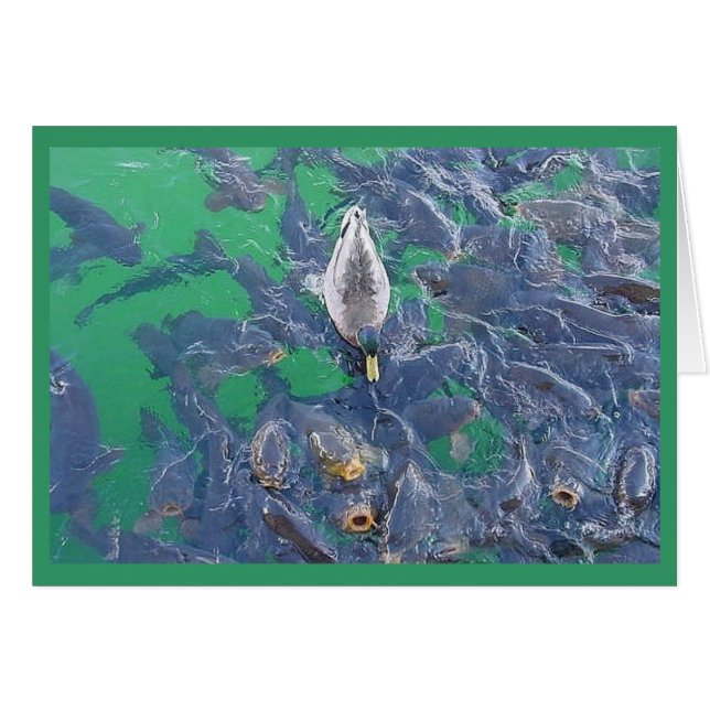 Cartão Eu sou um peixe… (Frente Horizontal)