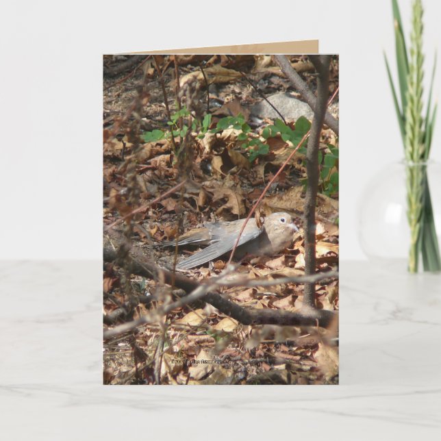 Cartão Eu sou uma folha, realmente (Frente)